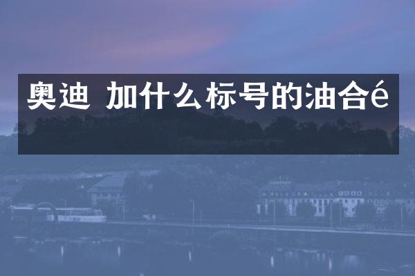 奥迪 加什么标号的油合适