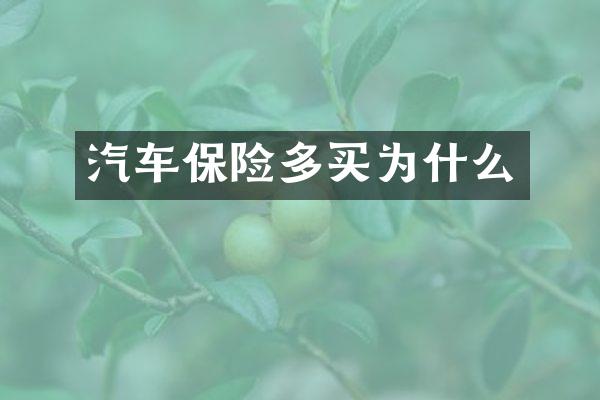 汽车保险多买为什么