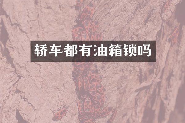 轿车都有油箱锁吗