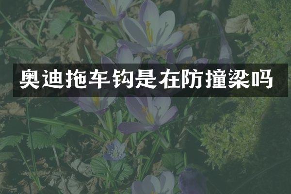 奥迪拖车钩是在防撞梁吗