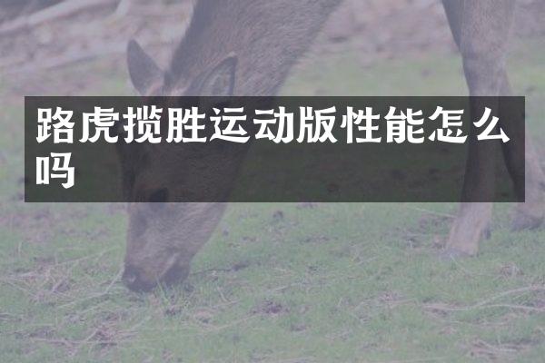 路虎揽胜运动版性能怎么吗