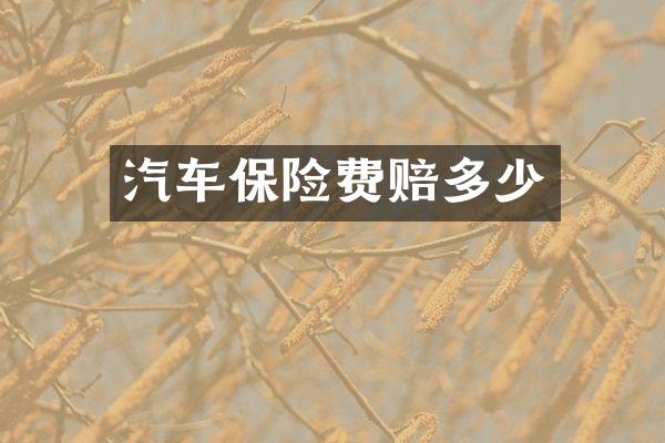 汽车保险费赔多少