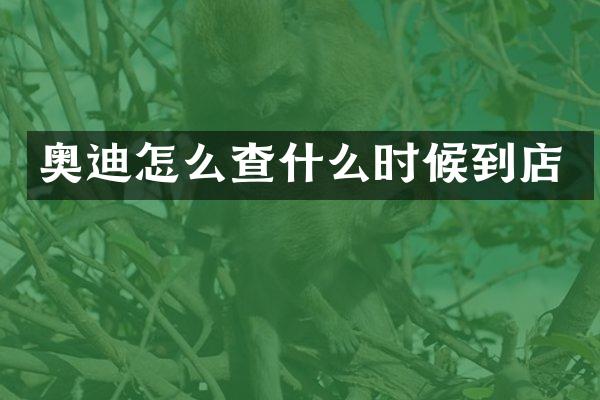 奥迪怎么查什么时候到店