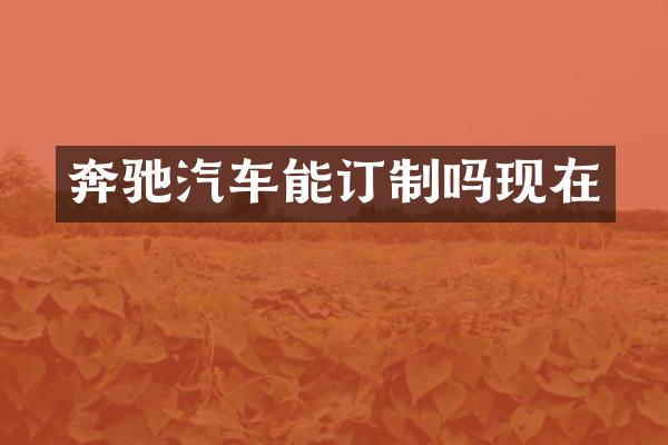 奔驰汽车能订制吗现在