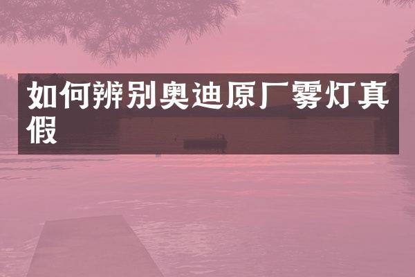 如何辨别奥迪原厂雾灯真假