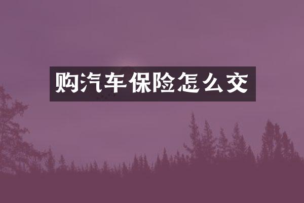购汽车保险怎么交