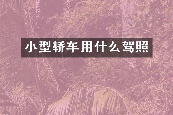 小型轿车用什么驾照