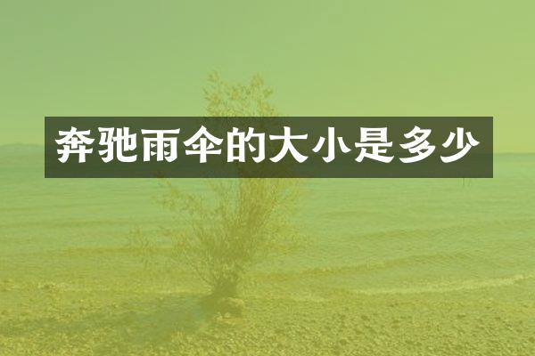 奔驰雨伞的大小是多少