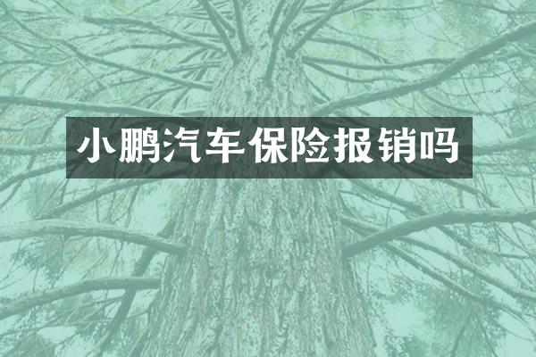 小鹏汽车保险报销吗