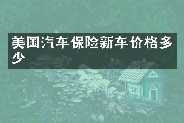 美国汽车保险新车价格多少