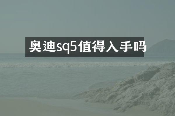 奥迪sq5值得入手吗