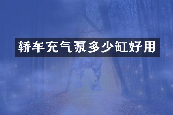 轿车充气泵多少缸好用