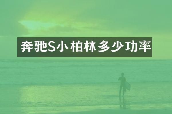 奔驰S小柏林多少功率