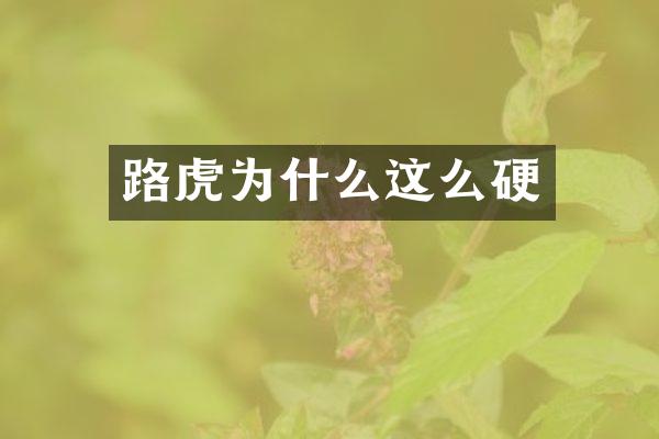 路虎为什么这么硬