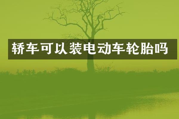 轿车可以装电动车轮胎吗
