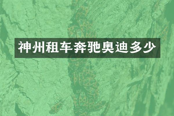 神州租车奔驰奥迪多少