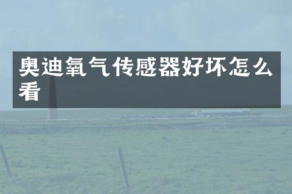 奥迪氧气传感器好坏怎么看