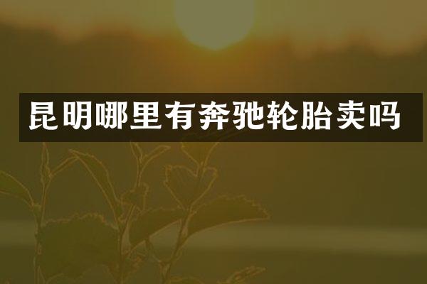 昆明哪里有奔驰轮胎卖吗