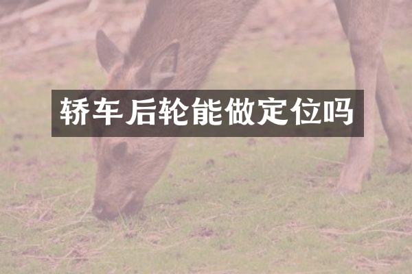 轿车后轮能做定位吗