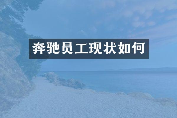 奔驰员工现状如何