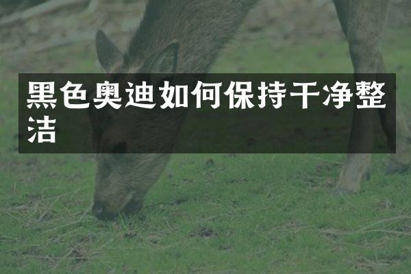 黑色奥迪如何保持干净整洁