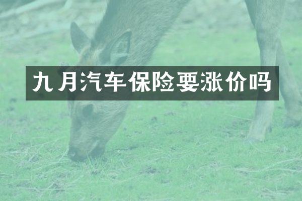 九月汽车保险要涨价吗