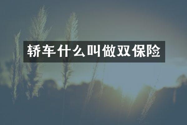 轿车什么叫做双保险