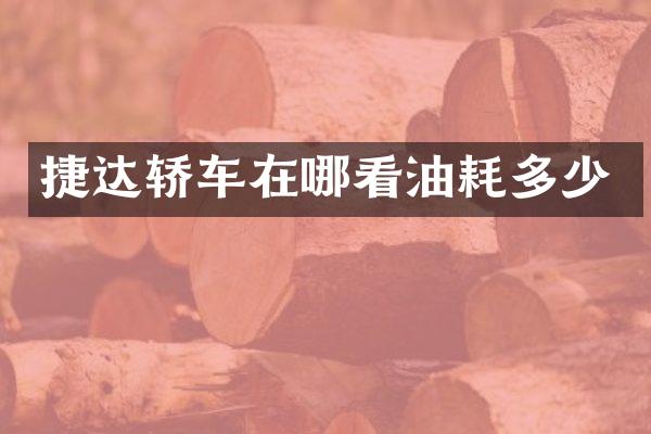 捷达轿车在哪看油耗多少