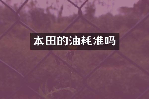 本田的油耗准吗