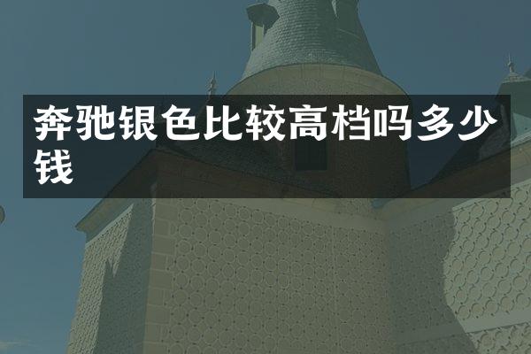 奔驰银色比较高档吗多少钱