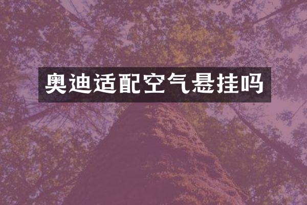 奥迪适配空气悬挂吗