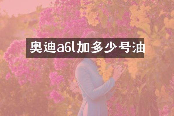 奥迪a6l加多少号油
