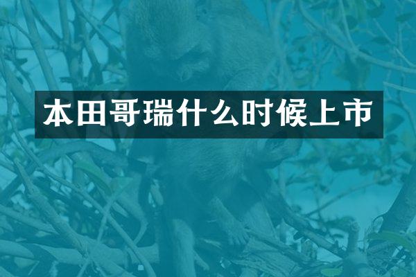 本田哥瑞什么时候上市