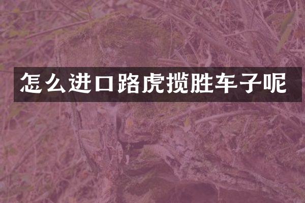 怎么进口路虎揽胜车子呢