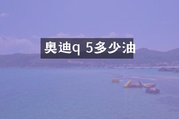 奥迪q 5多少油