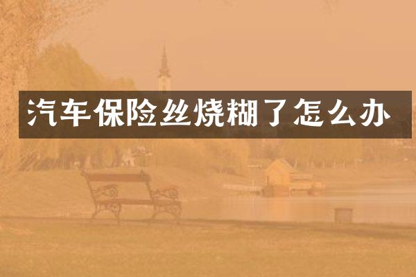 汽车保险丝烧糊了怎么办