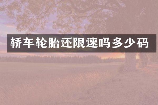 轿车轮胎还限速吗多少码