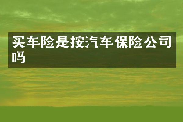 买车险是按汽车保险公司吗