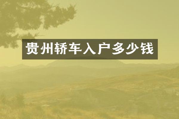 贵州轿车入户多少钱