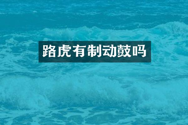 路虎有制动鼓吗