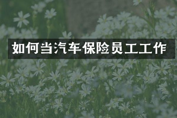 如何当汽车保险员工工作