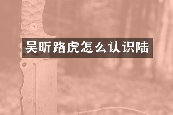 吴昕路虎怎么认识陆