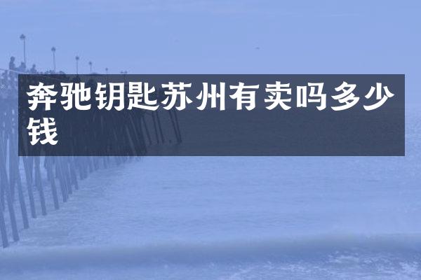 奔驰钥匙苏州有卖吗多少钱
