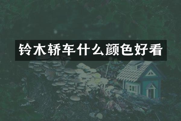 铃木轿车什么颜色好看