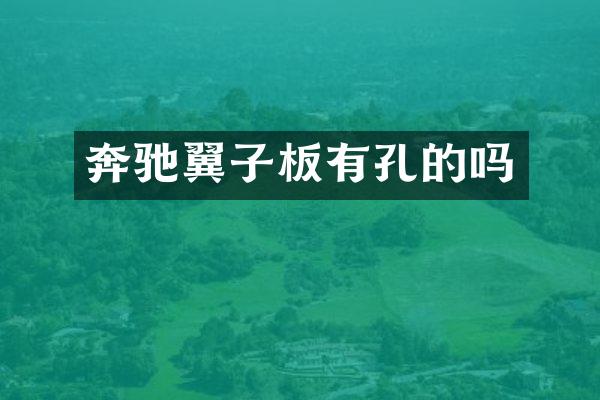 奔驰翼子板有孔的吗