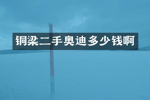 铜梁二手奥迪多少钱啊