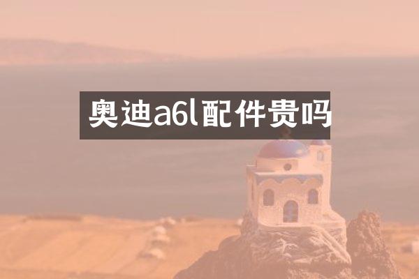奥迪a6l配件贵吗