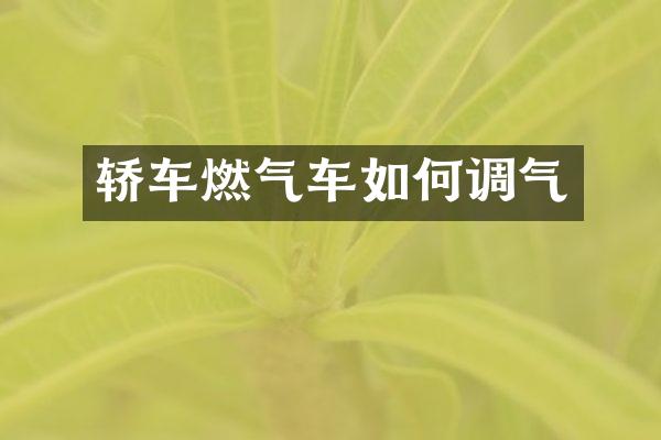 轿车燃气车如何调气