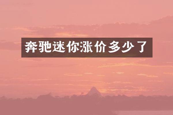 奔驰迷你涨价多少了