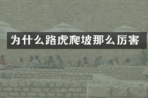 为什么路虎爬坡那么厉害